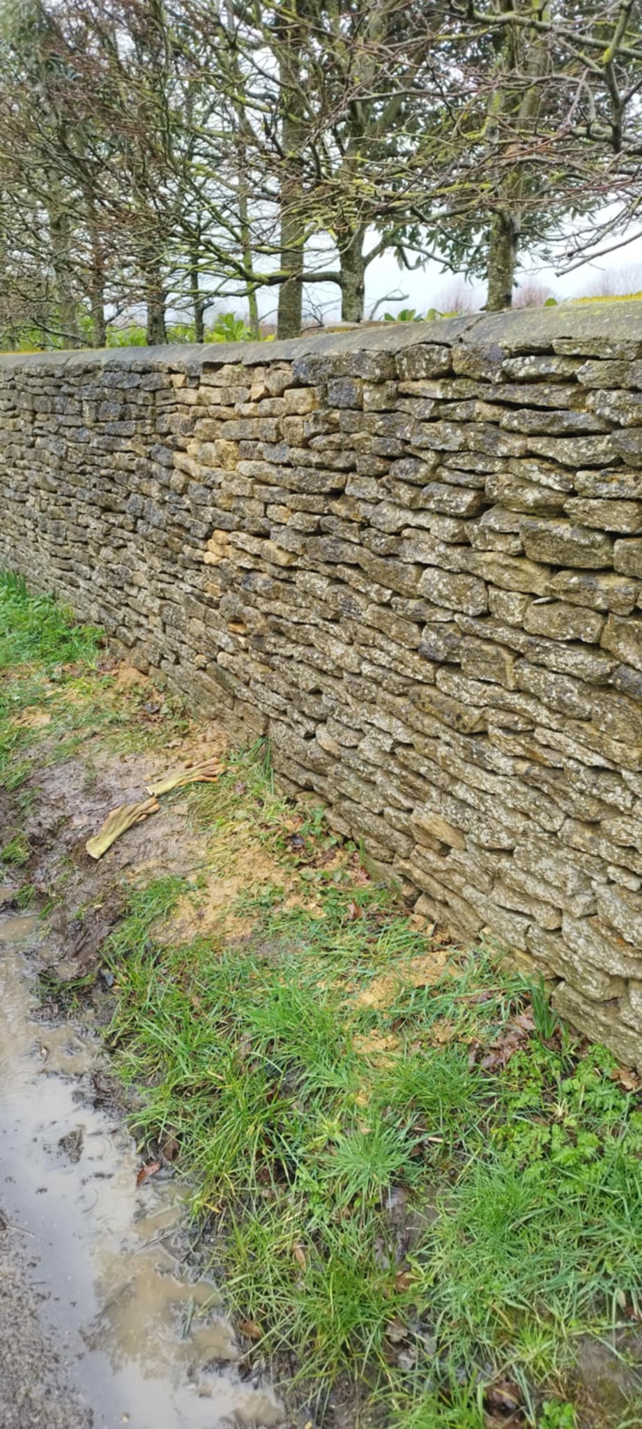 Traditional Cotswold dry stone wall in Cirencester
